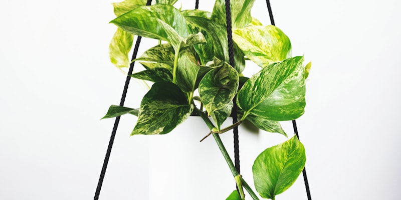 西班牙国家德比足球赛皇家马德里对阵巴塞罗那